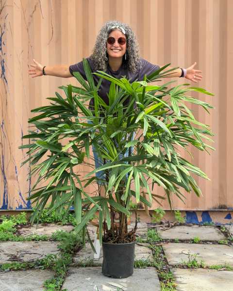 PlantVine Picks PlantVine Picks