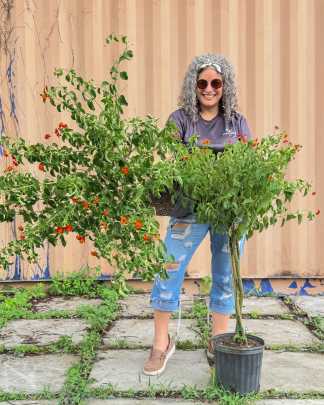 PlantVine Picks
