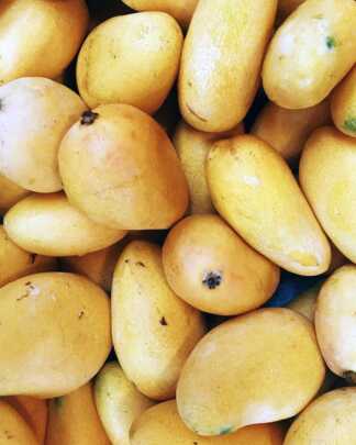 Lemon Zest Mango