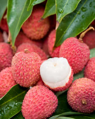 litchi fruit