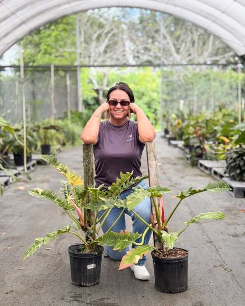 PlantVine Picks PlantVine Picks