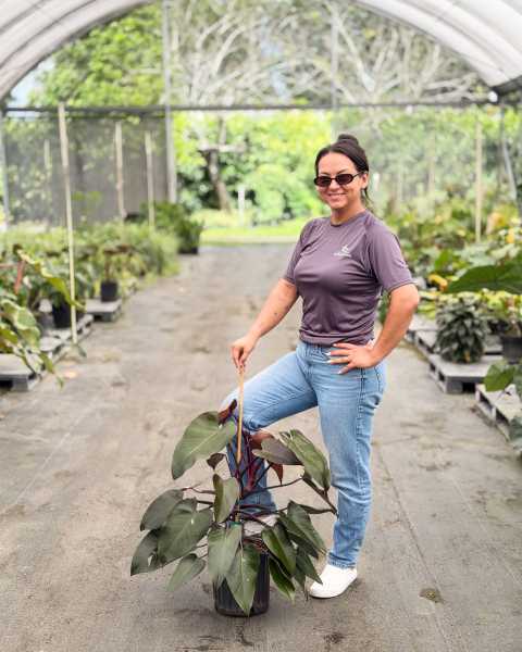 PlantVine Picks PlantVine Picks