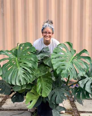 PlantVine Picks