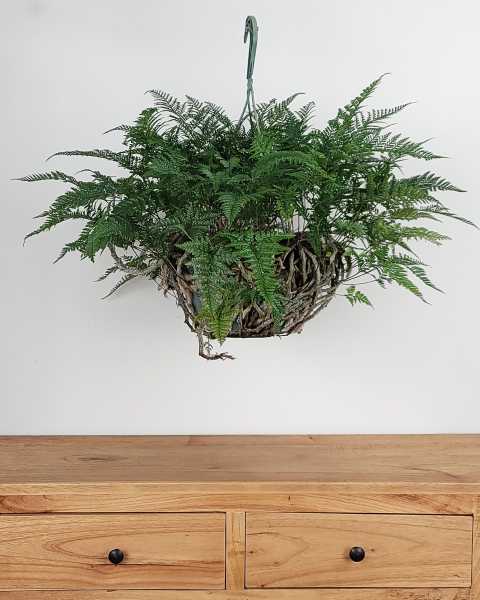 Large, Hanging Basket