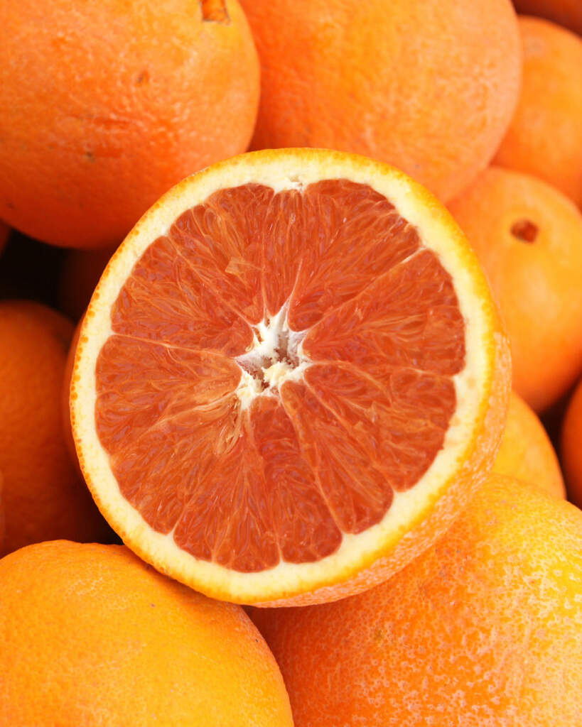 Red Navel Orange Tree PlantVine