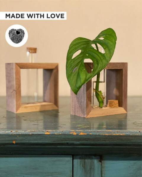 Propagation Station