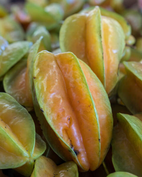 Fruit