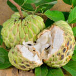 sugar apple