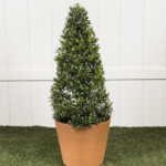 Topiary Cone