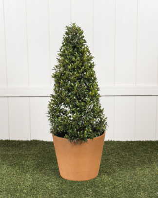Topiary Cone