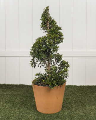 Topiary Spiral