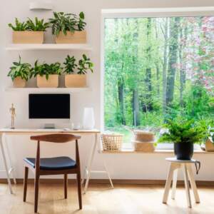 Untitled design (8) Plants in Home