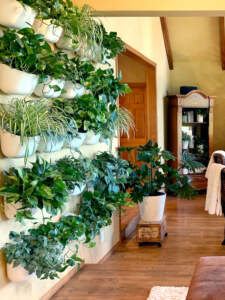 wallgro wall 3 oldfather edited