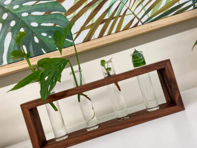 whatsapp image 2021 06 10 at 2 40 21 pm