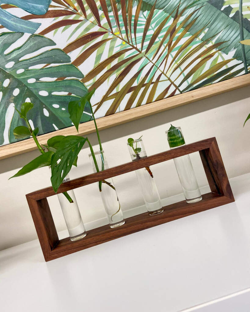 whatsapp image 2021 06 10 at 2 40 21 pm