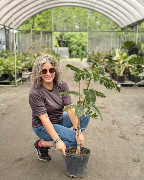 PlantVine Picks PlantVine Picks