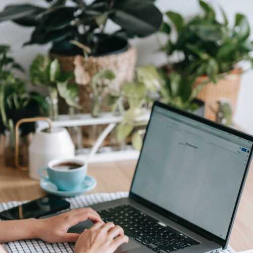 workspace plants