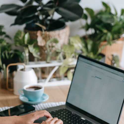 workspace plants