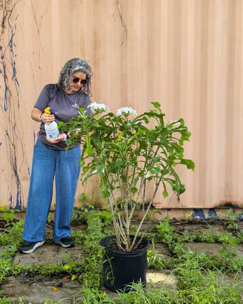 PlantVine Picks
