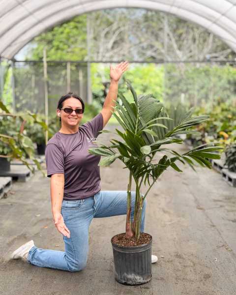 PlantVine Picks PlantVine Picks