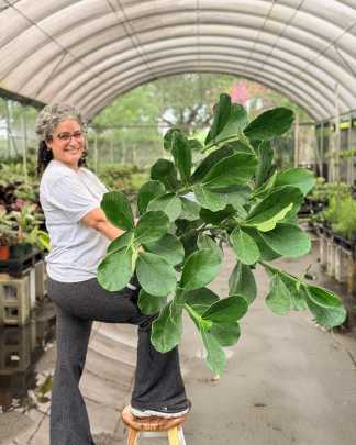 PlantVine Picks