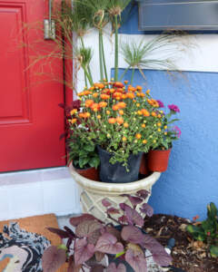Container with plants