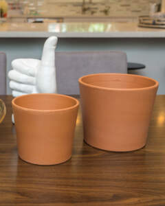 Terracotta plant pots
