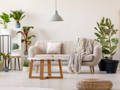pouf next to rug in bright living room interior with plants and