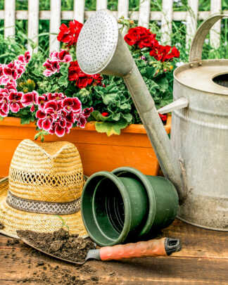 Gardening Supplies