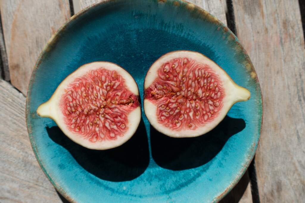 Seeds