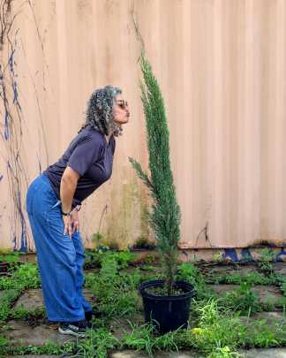 PlantVine Picks