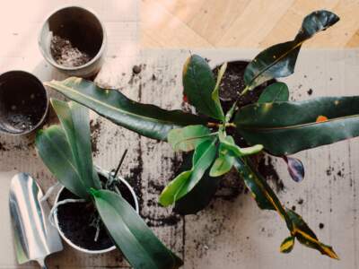 kelly sikkema acnaxrwaesi unsplash