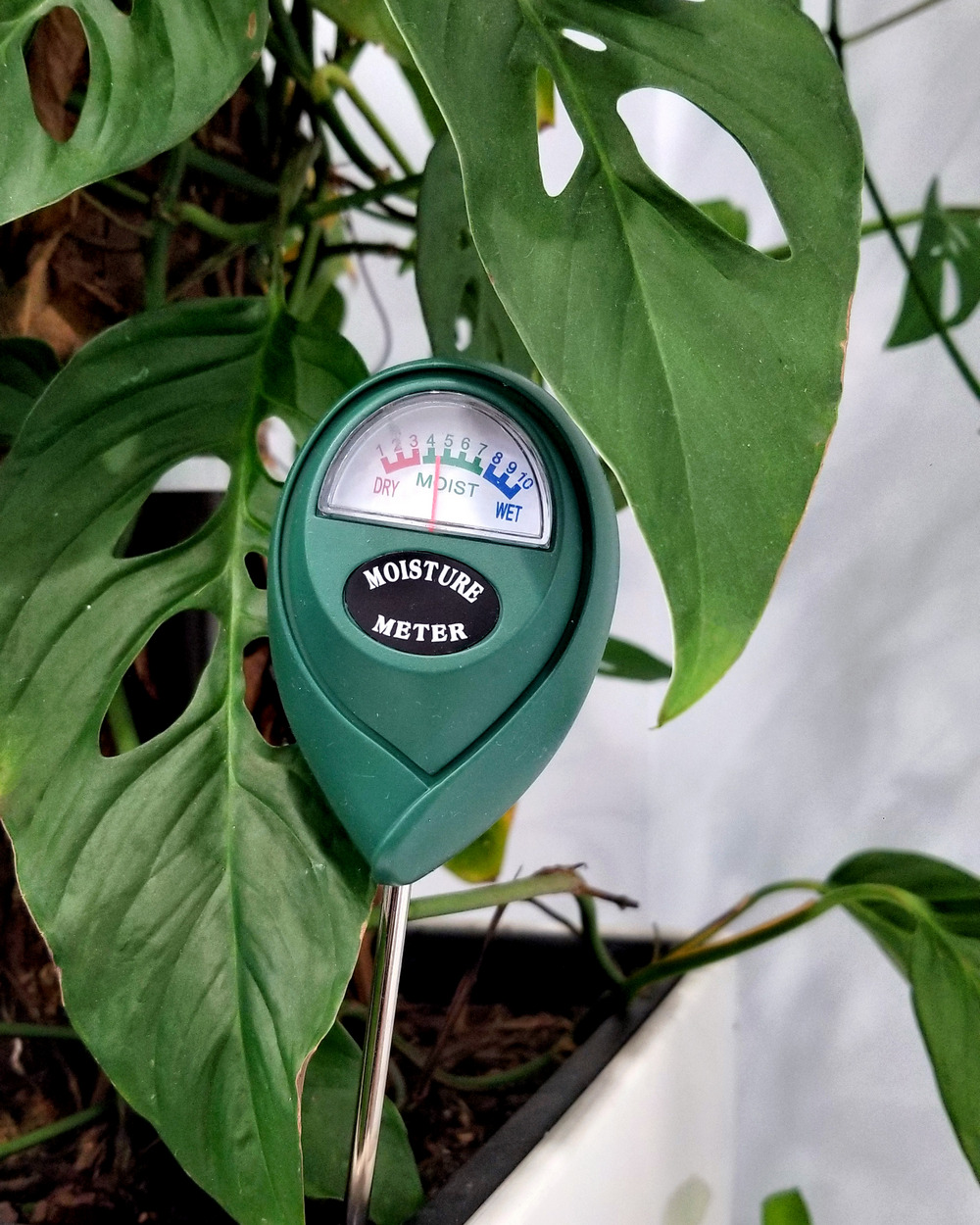 Buy Moisture Meter Free Shipping over 100