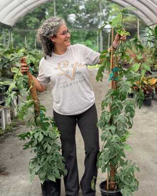 PlantVine Picks