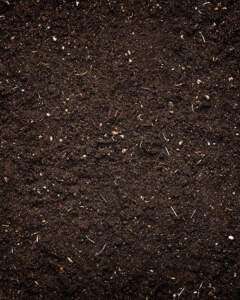 Soil