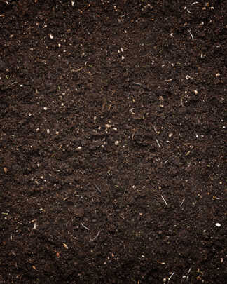 organic potting soil