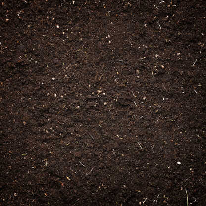 Organic Potting Soil