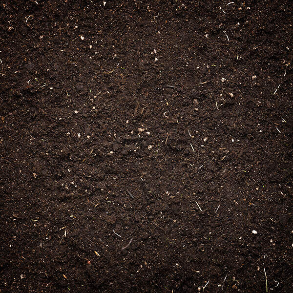 Organic Potting Soil