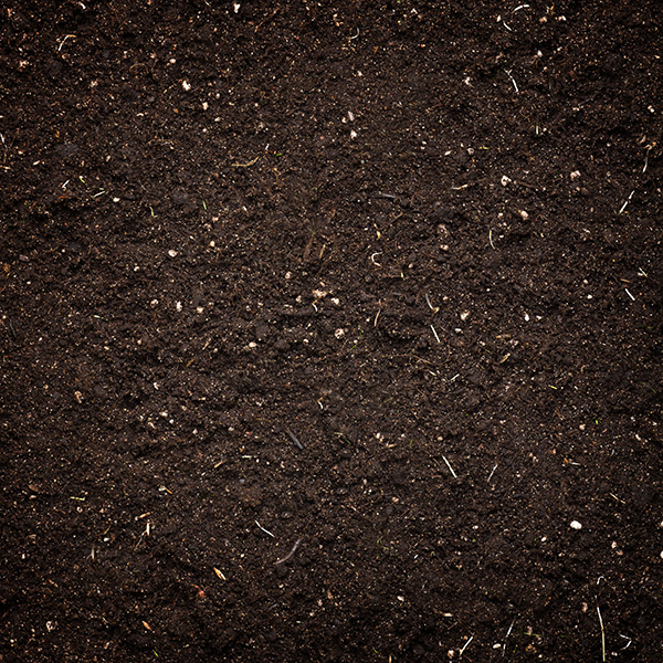 Organic Indoor Soil Mix