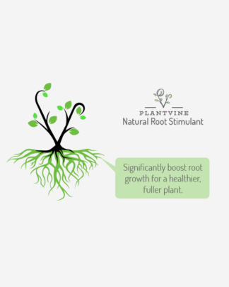 plantvine root stimulant