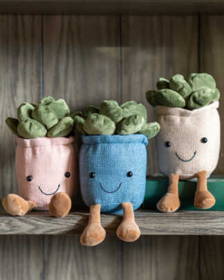 Succulent Plushies