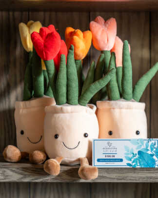 Tulip Plushies