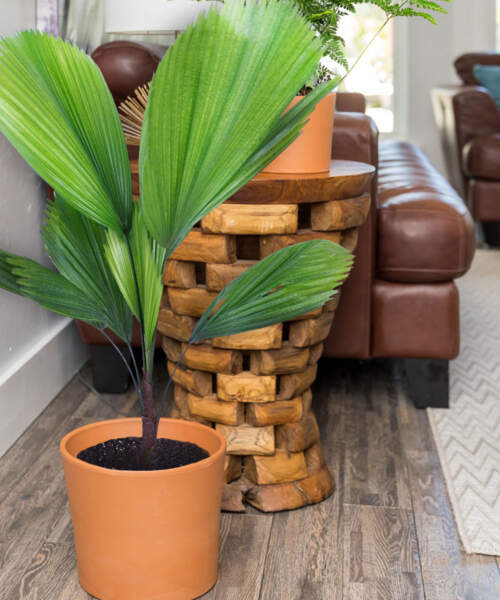 10" Terracotta Pot