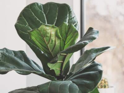 scott webb 10xxt2inn90 unsplash