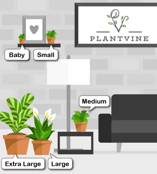 Image showing pot sizes in a room.